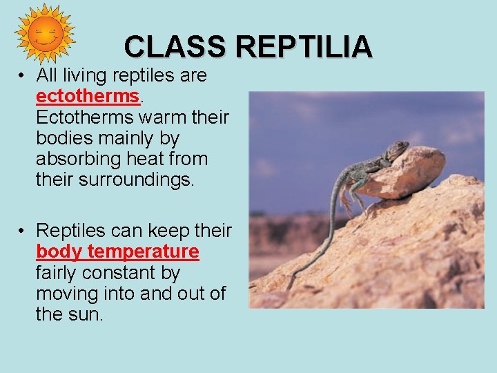 CLASS REPTILIA • All living reptiles are ectotherms. Ectotherms warm their bodies mainly by