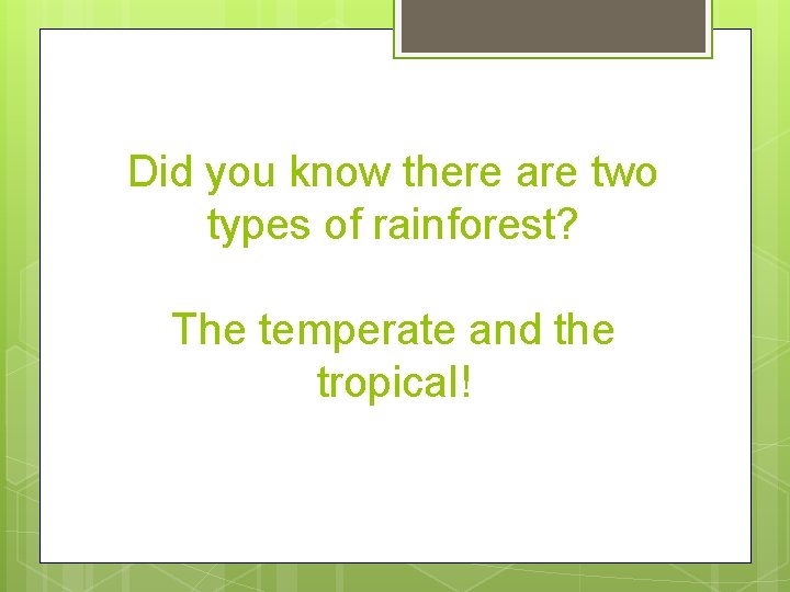 Did you know there are two types of rainforest? The temperate and the tropical!