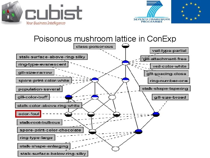 Poisonous mushroom lattice in Con. Exp 