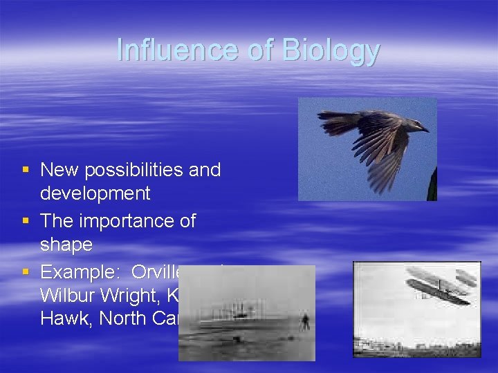 Influence of Biology § New possibilities and development § The importance of shape §