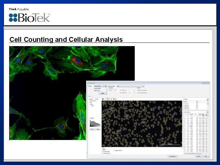 Cell Counting and Cellular Analysis 
