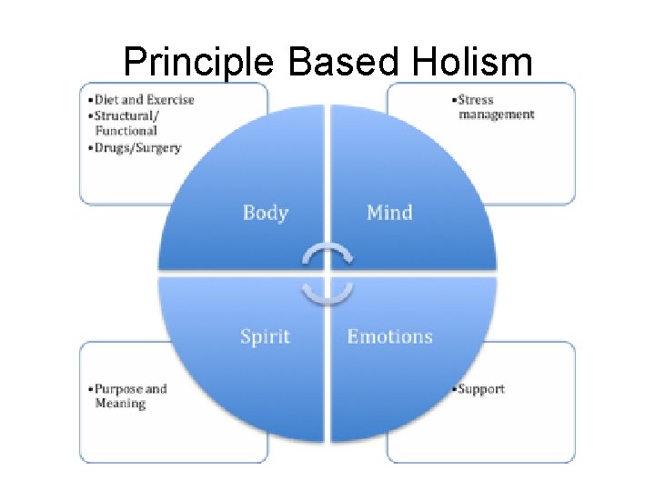 Principle Based Holism 