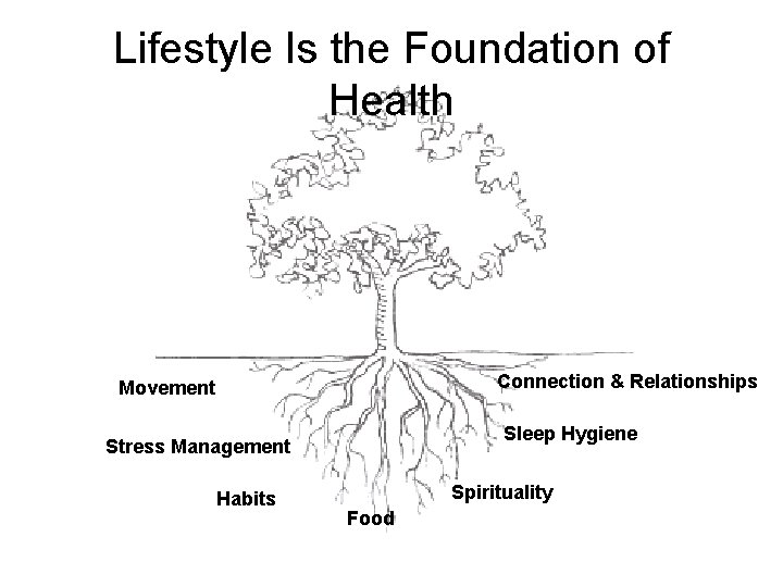 Lifestyle Is the Foundation of Health Connection & Relationships Movement Sleep Hygiene Stress Management