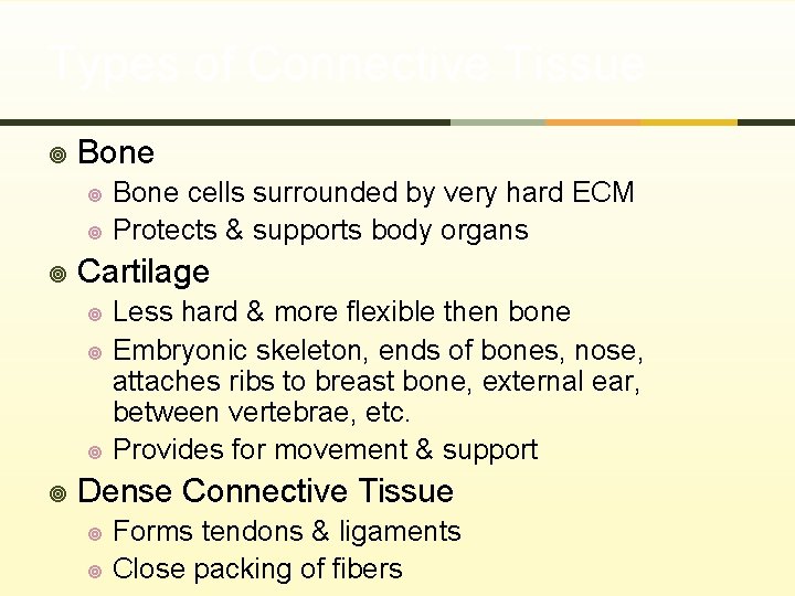 Types of Connective Tissue ¥ Bone ¥ ¥ ¥ Cartilage ¥ ¥ Bone cells