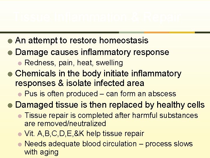 Tissue Inflammation & Repair An attempt to restore homeostasis ¥ Damage causes inflammatory response