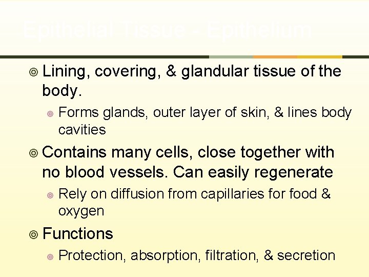 Epithelial Tissue - Epithelium ¥ Lining, covering, & glandular tissue of the body. ¥