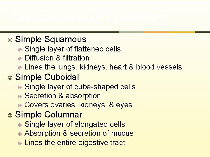 Classification of Epithelium ¥ Simple Squamous ¥ ¥ Simple Cuboidal ¥ ¥ Single layer