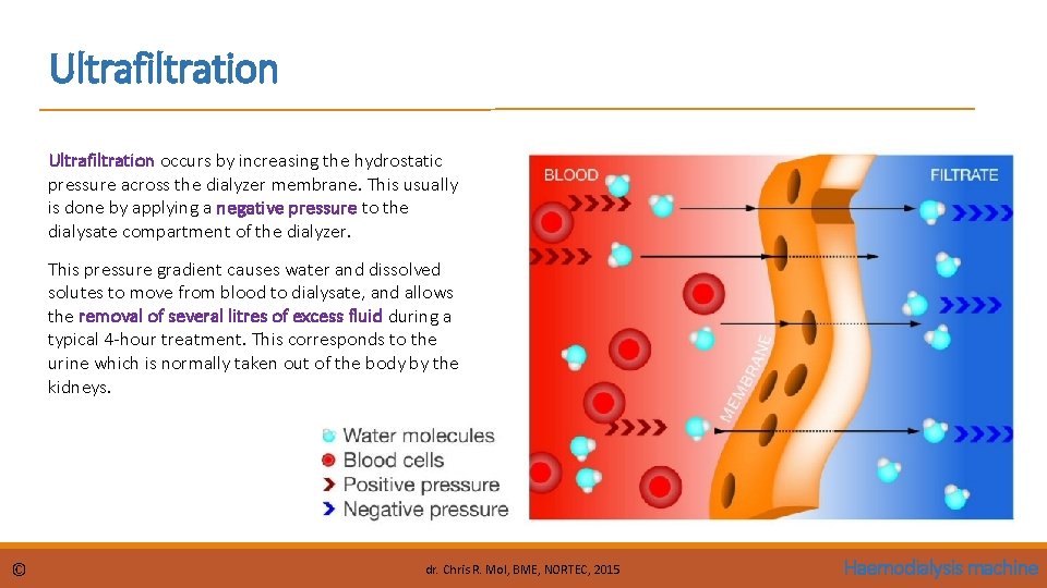 Ultrafiltration occurs by increasing the hydrostatic pressure across the dialyzer membrane. This usually is