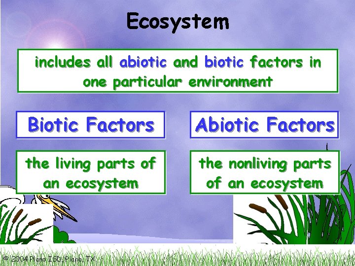 Ecosystem includes all abiotic and biotic factors in one particular environment Biotic Factors Abiotic