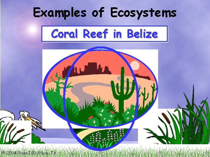 Examples of Ecosystems Mountains Coral Arizona Reefin. Desert in. Colorado Belize © 2004 Plano