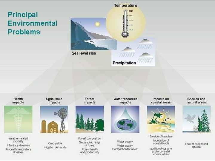 Principal Environmental Problems 