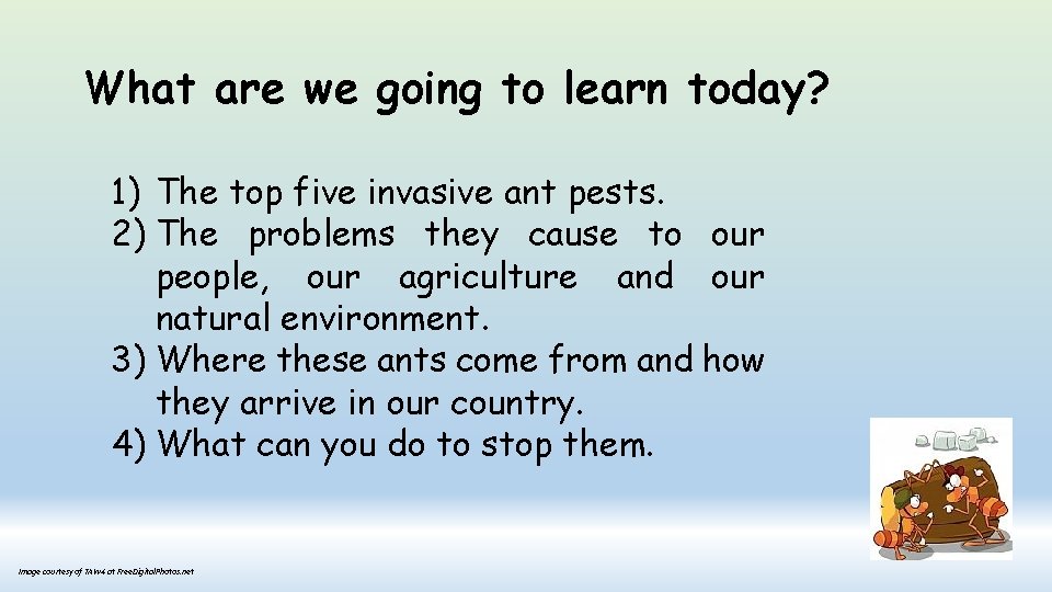 What are we going to learn today? 1) The top five invasive ant pests.