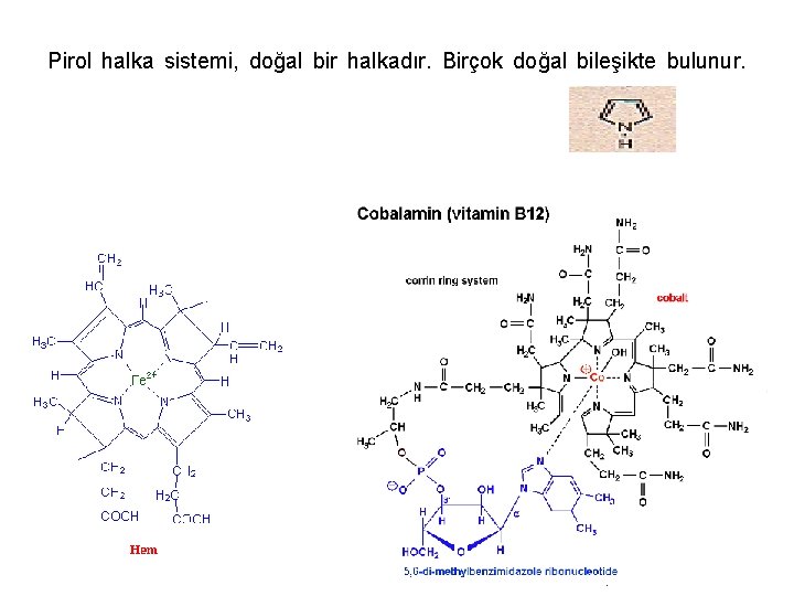 Pirol halka sistemi, doğal bir halkadır. Birçok doğal bileşikte bulunur. 