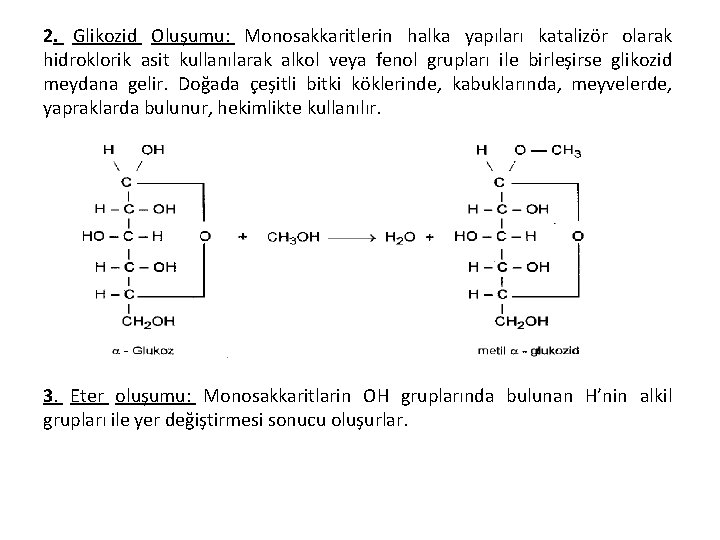 2. Glikozid Oluşumu: Monosakkaritlerin halka yapıları katalizör olarak hidroklorik asit kullanılarak alkol veya fenol