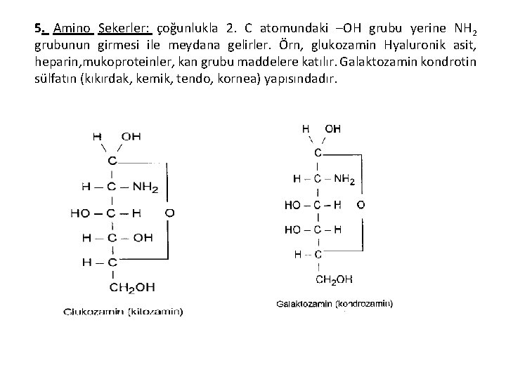 5. Amino Şekerler: çoğunlukla 2. C atomundaki –OH grubu yerine NH 2 grubunun girmesi