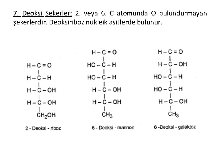 7. Deoksi Şekerler: 2. veya 6. C atomunda O bulundurmayan şekerlerdir. Deoksiriboz nükleik asitlerde