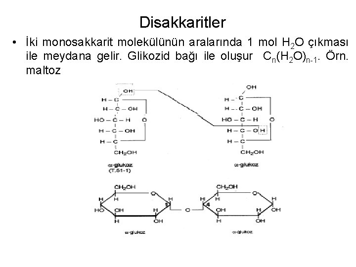 Disakkaritler • İki monosakkarit molekülünün aralarında 1 mol H 2 O çıkması ile meydana