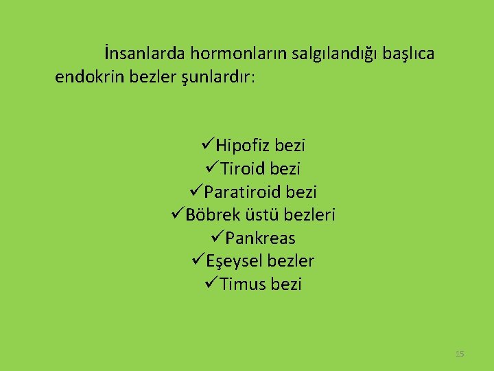 İnsanlarda hormonların salgılandığı başlıca endokrin bezler şunlardır: üHipofiz bezi üTiroid bezi üParatiroid bezi üBöbrek