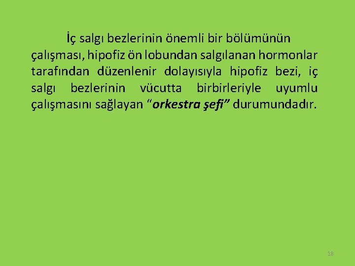 İç salgı bezlerinin önemli bir bölümünün çalışması, hipofiz ön lobundan salgılanan hormonlar tarafından düzenlenir