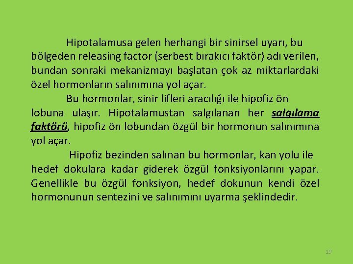 Hipotalamusa gelen herhangi bir sinirsel uyarı, bu bölgeden releasing factor (serbest bırakıcı faktör) adı