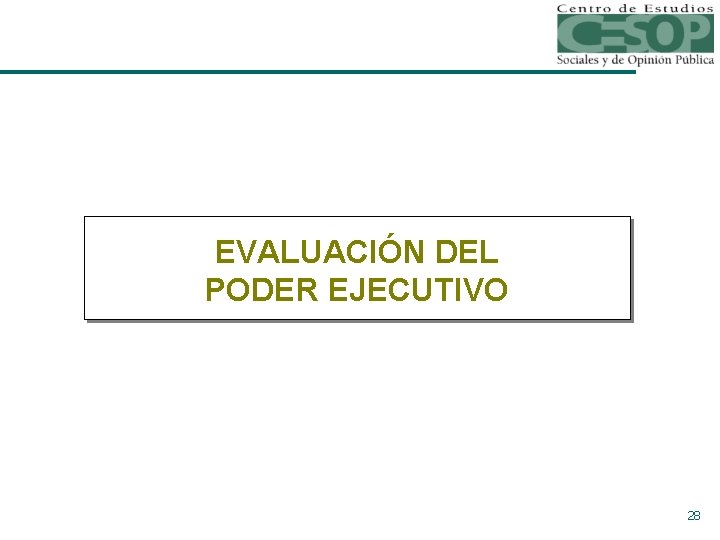 EVALUACIÓN DEL PODER EJECUTIVO 28 