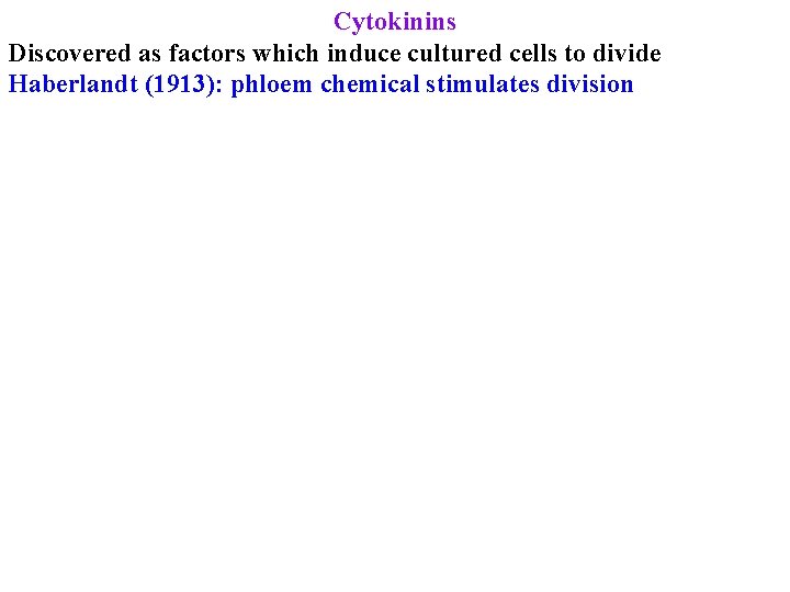 Cytokinins Discovered as factors which induce cultured cells to divide Haberlandt (1913): phloem chemical