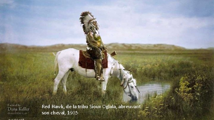 Red Hawk, de la tribu Sioux Oglala, abreuvant son cheval, 1905 