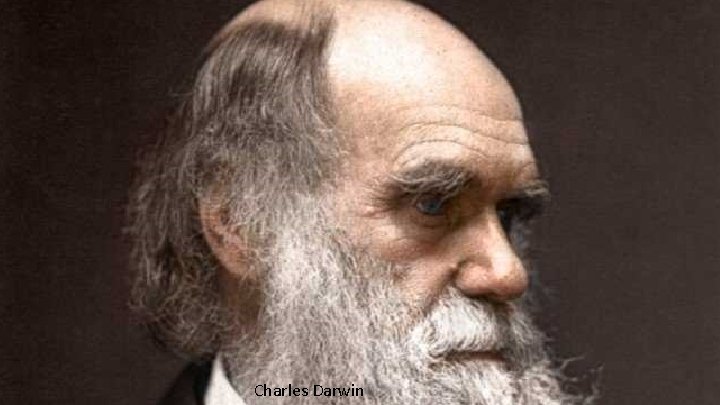 Charles Darwin 