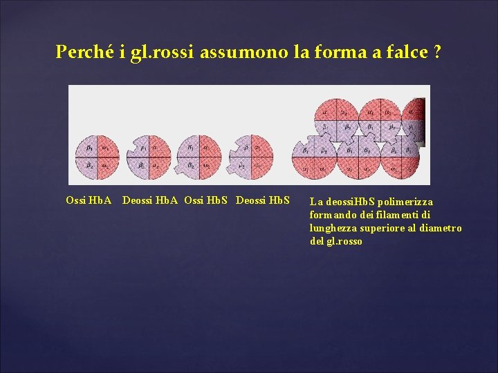 Perché i gl. rossi assumono la forma a falce ? Ossi Hb. A Deossi