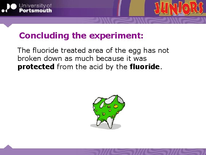 Concluding the experiment: The fluoride treated area of the egg has not broken down