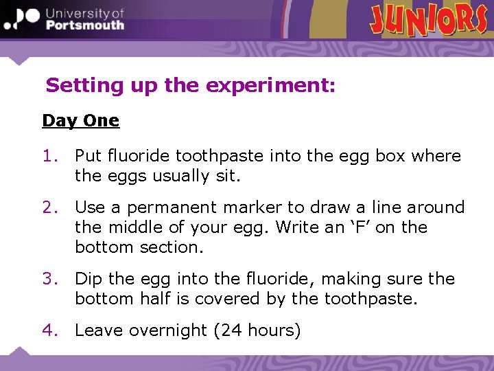 Setting up the experiment: Day One 1. Put fluoride toothpaste into the egg box