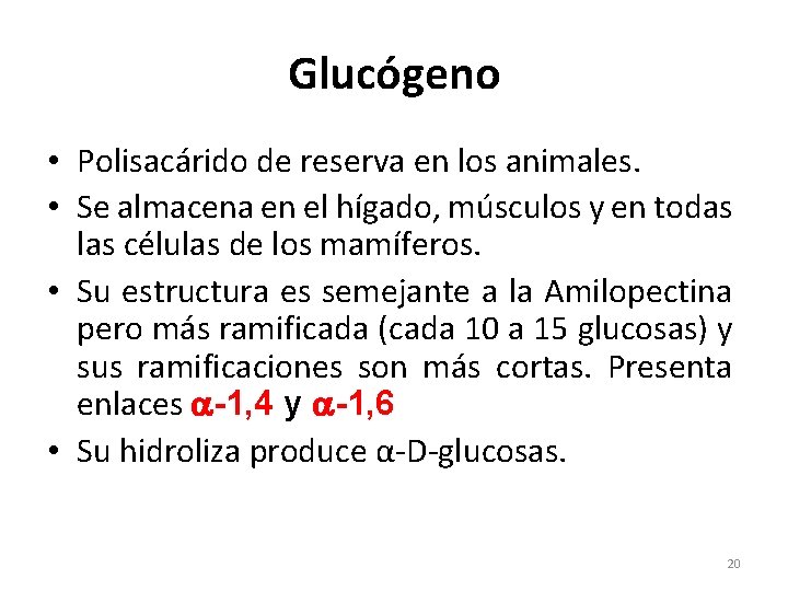 Glucógeno • Polisacárido de reserva en los animales. • Se almacena en el hígado,