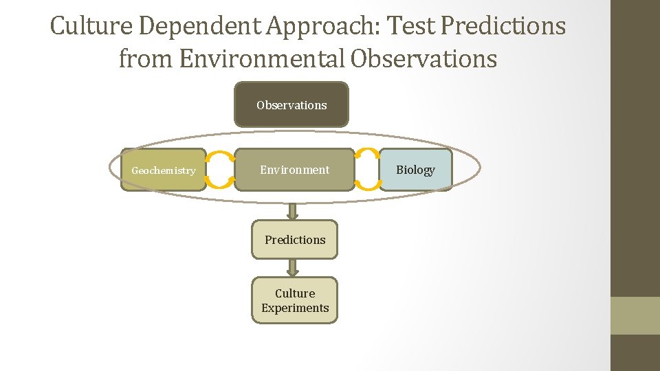 Culture Dependent Approach: Test Predictions from Environmental Observations Geochemistry Environment Predictions Culture Experiments Biology