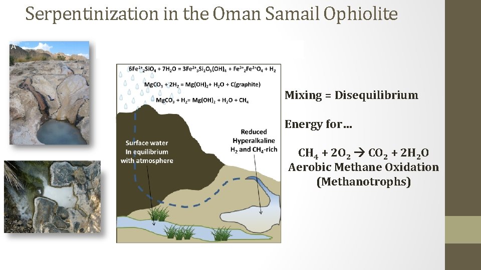 Serpentinization in the Oman Samail Ophiolite Mixing = Disequilibrium Energy for… CH 4 +