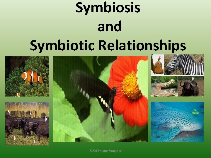 Symbiosis and Symbiotic Relationships © 2014 Happy. Edugator 