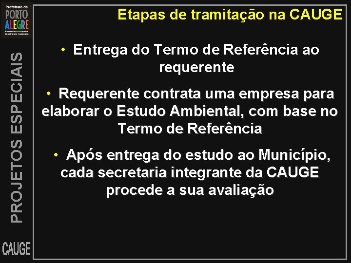 PROJETOS ESPECIAIS Etapas de tramitação na CAUGE • Entrega do Termo de Referência ao