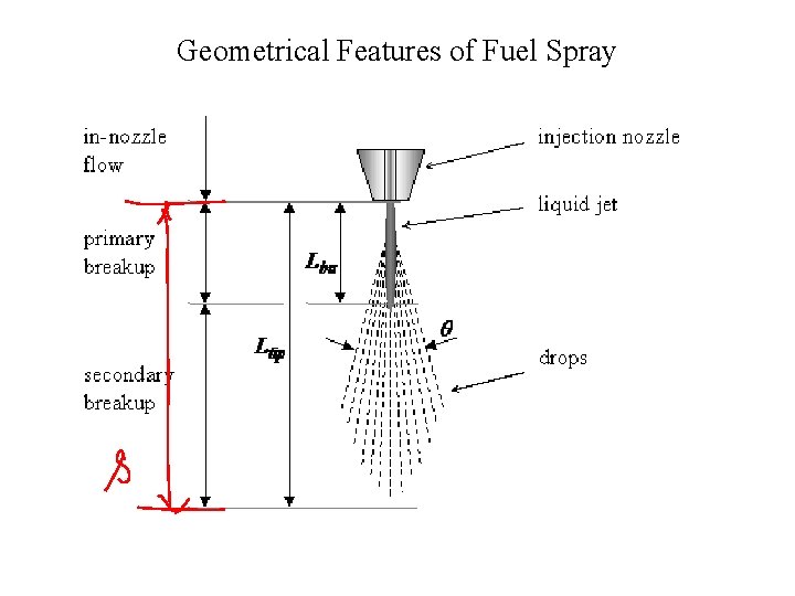 Geometrical Features of Fuel Spray 