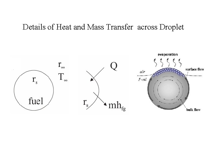 Details of Heat and Mass Transfer across Droplet 
