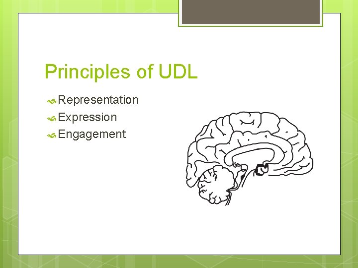 Principles of UDL Representation Expression Engagement 