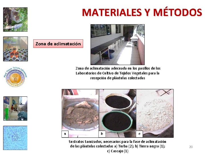 MATERIALES Y MÉTODOS Zona de aclimatación adecuada en los pasillos de los Laboratorios de