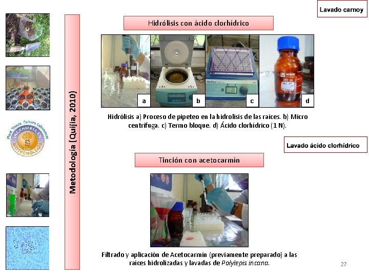 Metodología (Quijia, 2010) Hidrólisis con ácido clorhídrico a b c d Hidrólisis a) Proceso