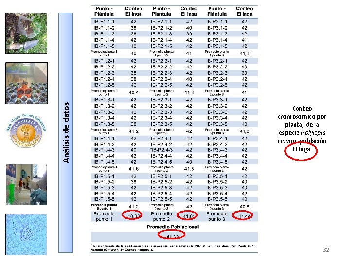 Análisis de datos Conteo cromosómico por planta, de la especie Polylepis incana, población El