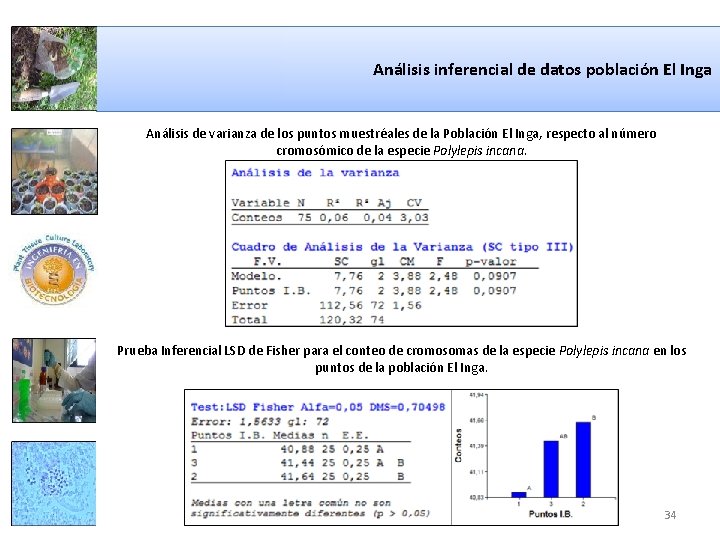 Análisis inferencial de datos población El Inga Análisis de varianza de los puntos muestréales