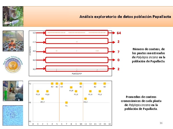 Análisis exploratorio de datos población Papallacta 64 2 7 0 Número de conteos, de