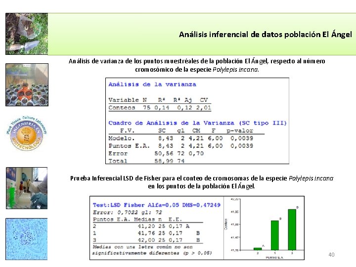 Análisis inferencial de datos población El Ángel Análisis de varianza de los puntos muestréales