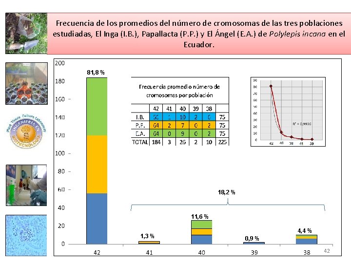 Frecuencia de los promedios del número de cromosomas de las tres poblaciones estudiadas, El