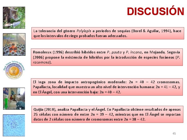 DISCUSIÓN La tolerancia del género Polylepis a periodos de sequias (Borel & Aguilar, 1994),