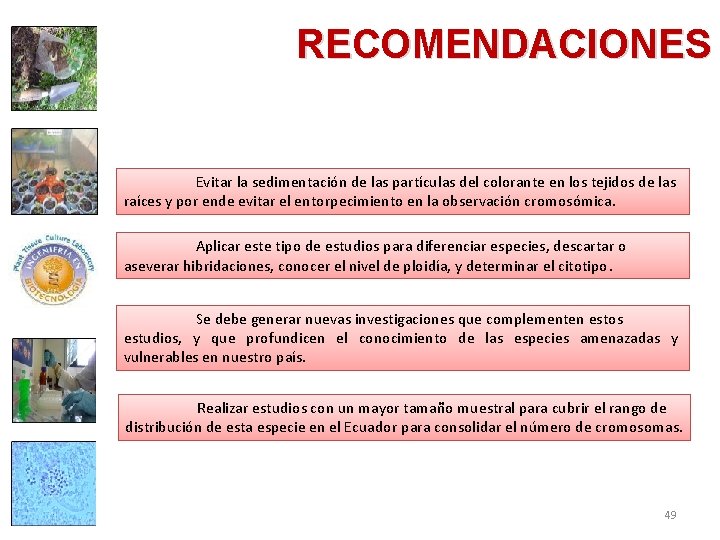 RECOMENDACIONES Evitar la sedimentación de las partículas del colorante en los tejidos de las