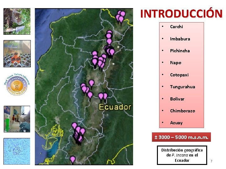 INTRODUCCIÓN • Carchi • Imbabura • Pichincha • Napo • Cotopaxi • Tungurahua •