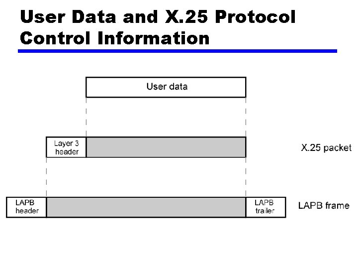 User Data and X. 25 Protocol Control Information 